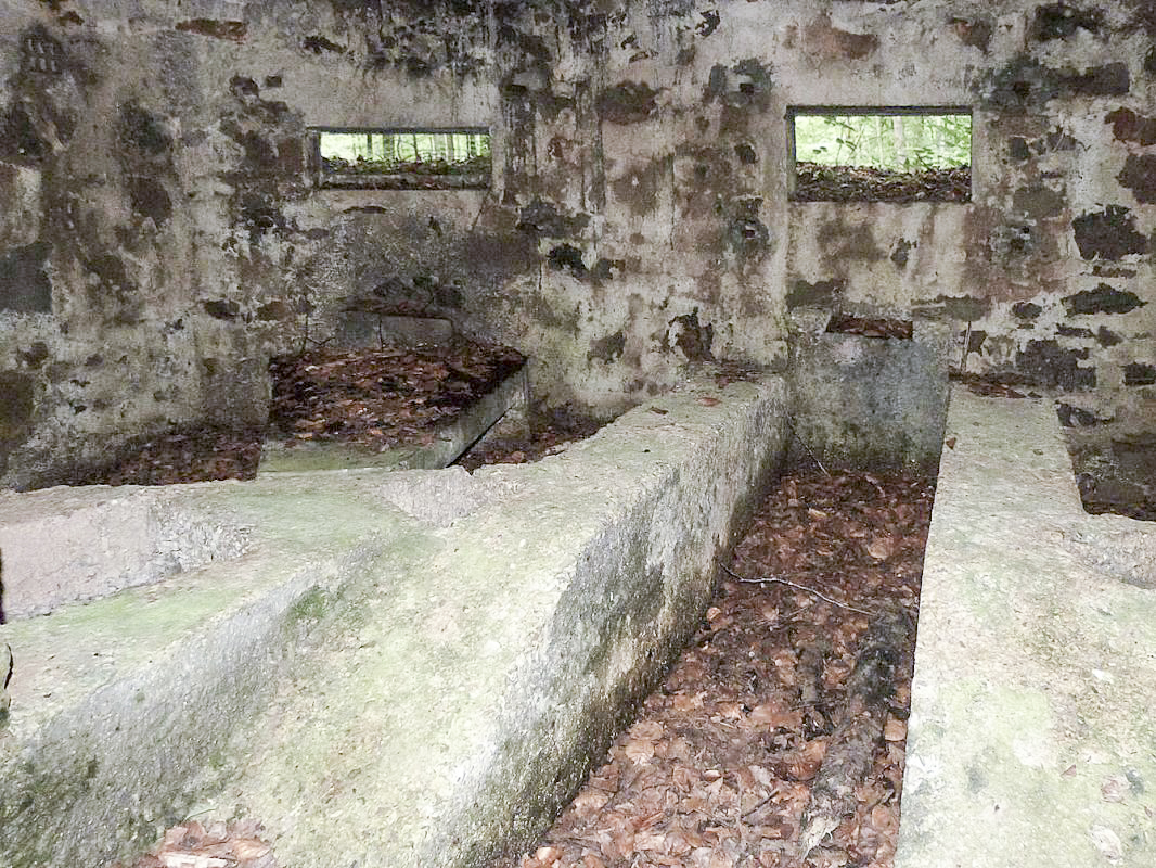 Ligne Maginot - BA25 - ISAIE OUEST - (Blockhaus pour canon) - 
