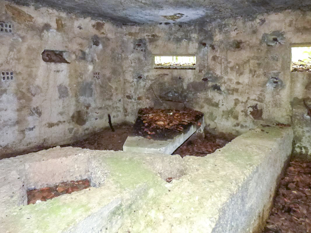 Ligne Maginot - BA25 - ISAIE OUEST - (Blockhaus pour canon) - 