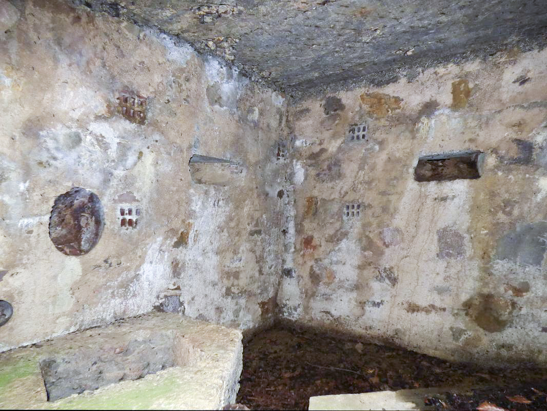 Ligne Maginot - BA25 - ISAIE OUEST - (Blockhaus pour canon) - 