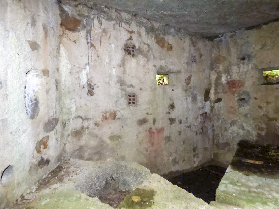 Ligne Maginot - BA26 - ISAIE EST - (Blockhaus pour canon) - 