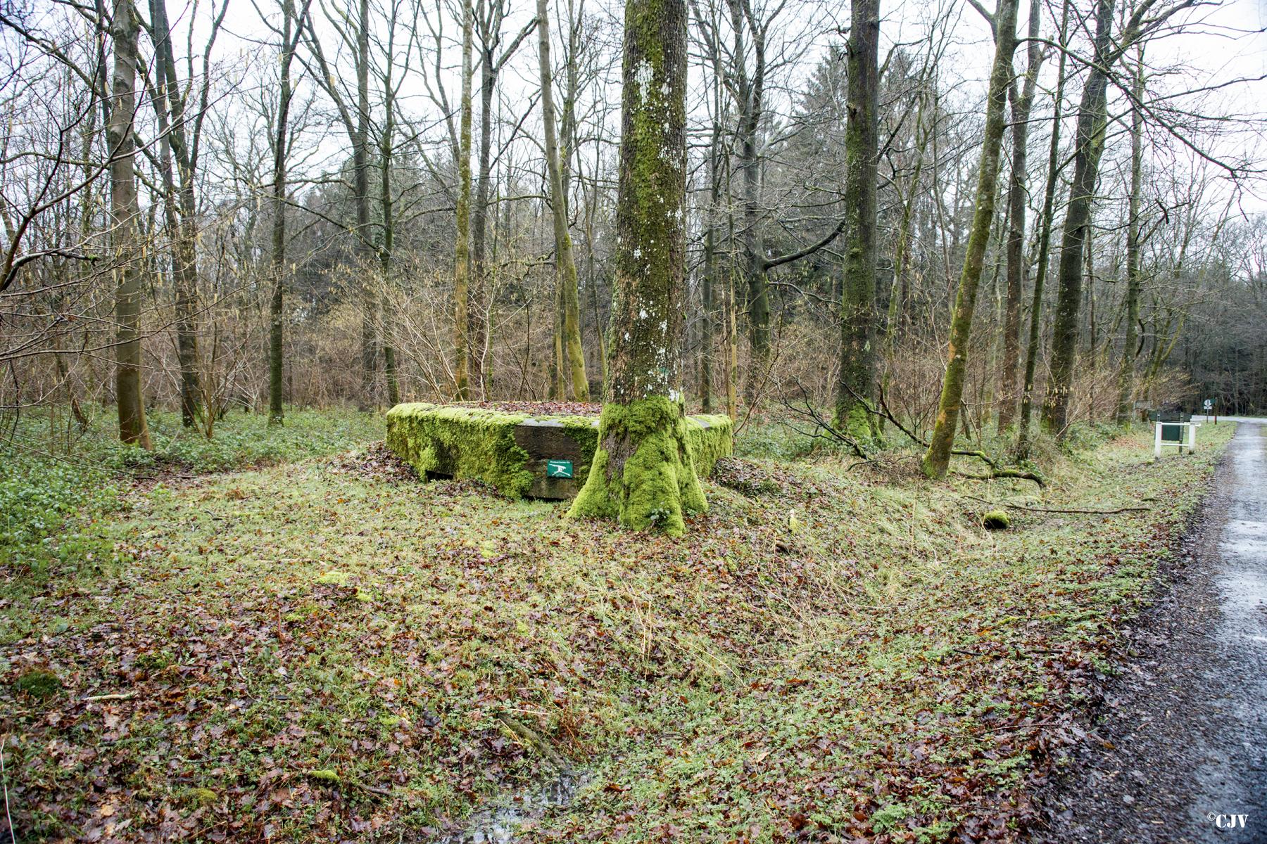 Ligne Maginot - BA26 - ISAIE EST - (Blockhaus pour canon) - 