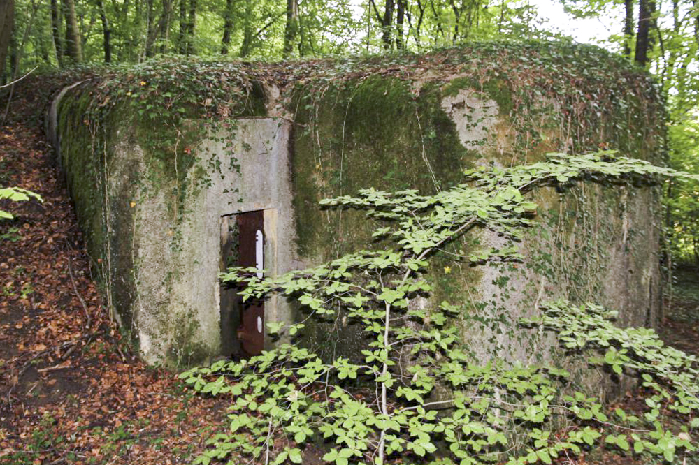 Ligne Maginot - DB27 - (Blockhaus pour canon) - Vu de l'arrière - Jolas Jean-Michel