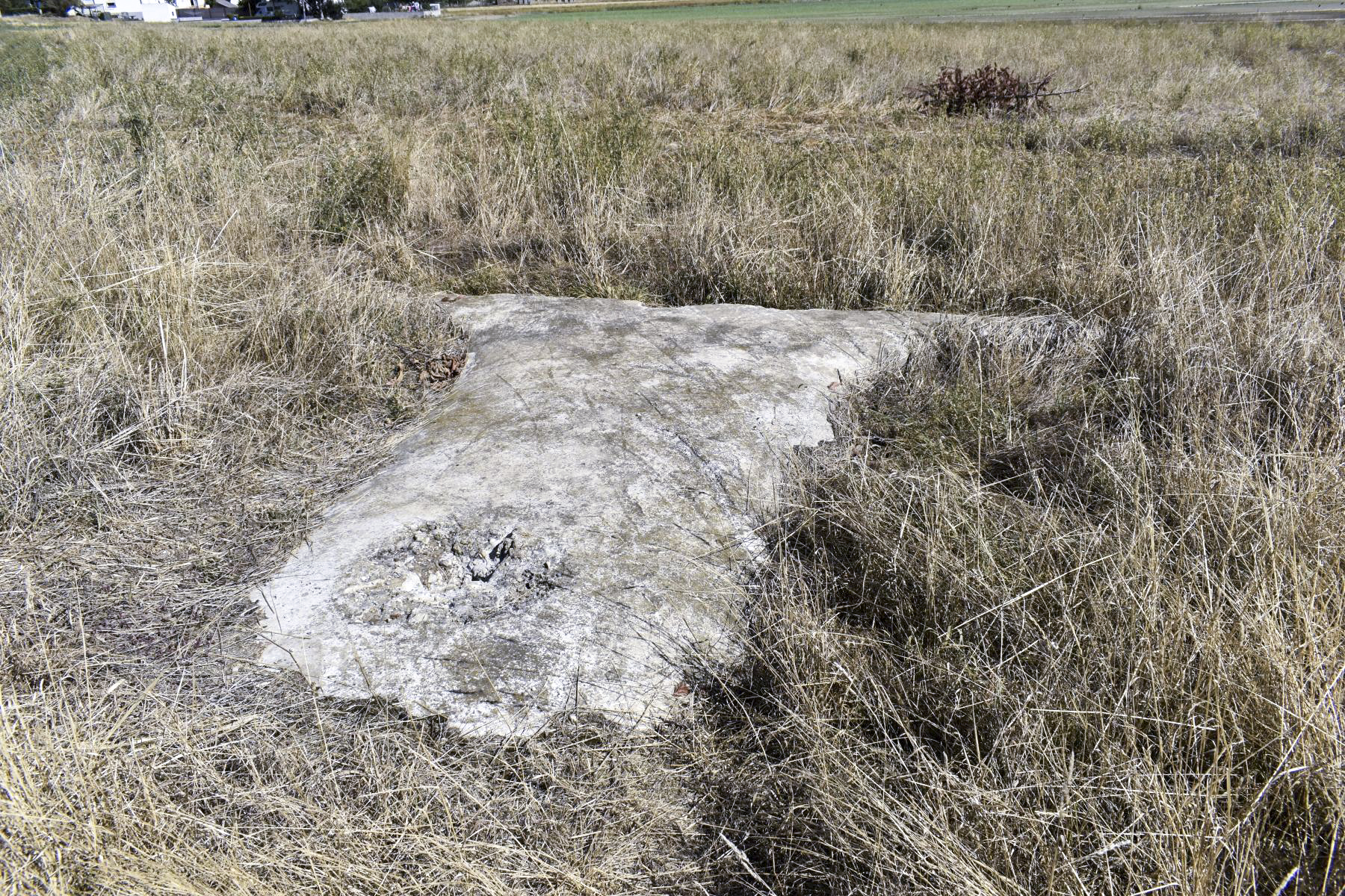 Ligne Maginot - FESSENHEIM 3 - (Blockhaus de type indéterminé) - Vue cotée Sud/Sud-ouest - Daniel Froehly