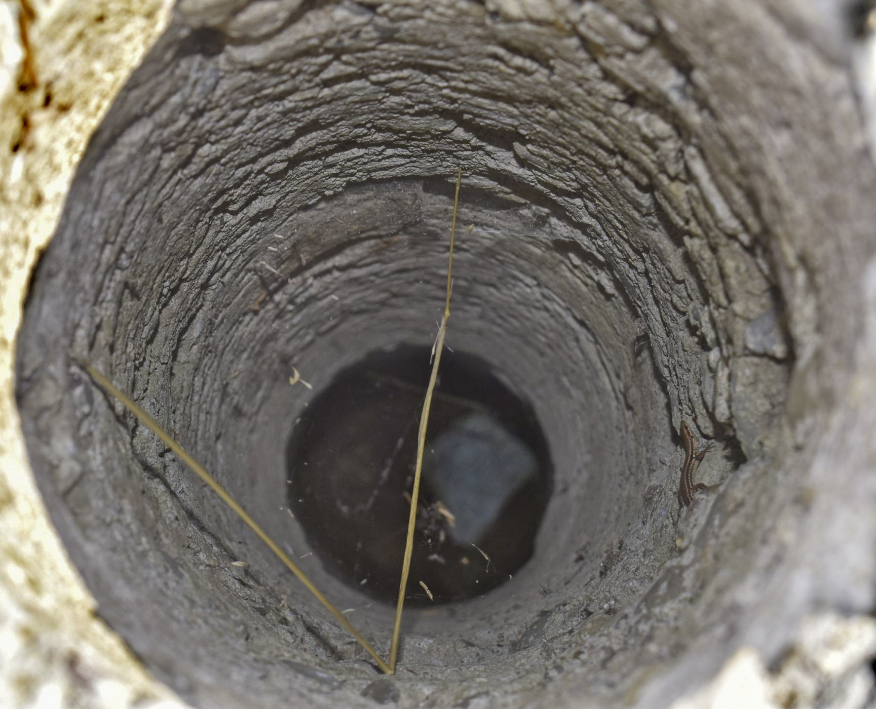 Ligne Maginot - FESSENHEIM 3 - (Blockhaus de type indéterminé) - La cheminée - Daniel Froehly