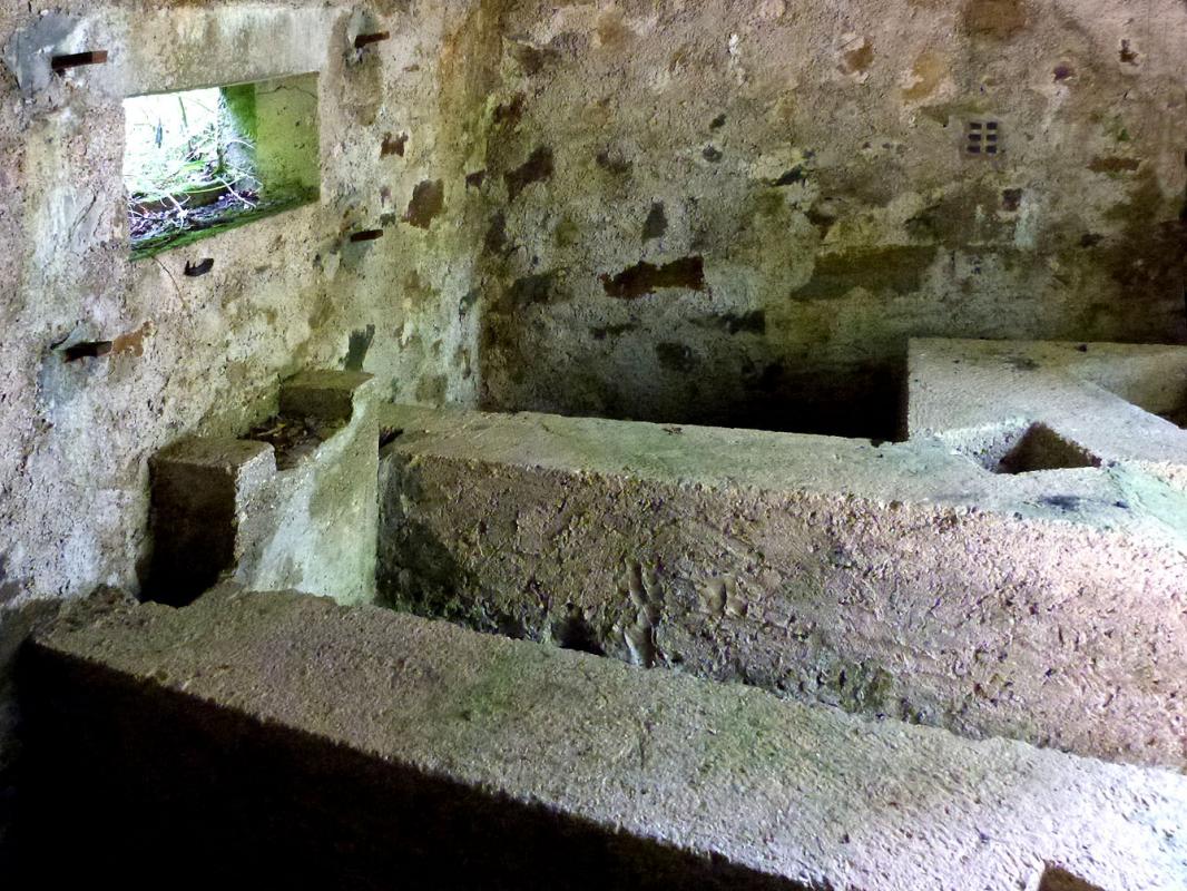 Ligne Maginot - BA29 - WATIGNY EST - (Blockhaus pour canon) - 