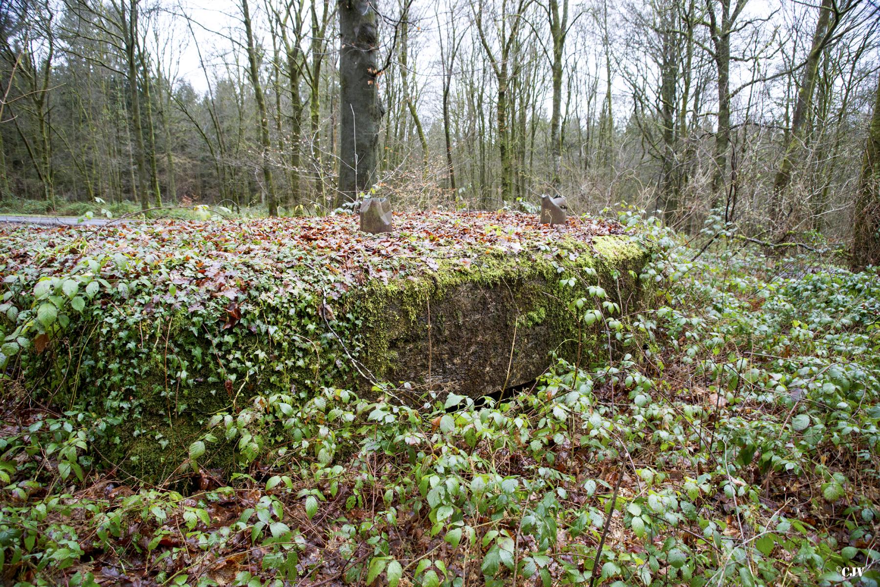 Ligne Maginot - BA29 - WATIGNY EST - (Blockhaus pour canon) - 