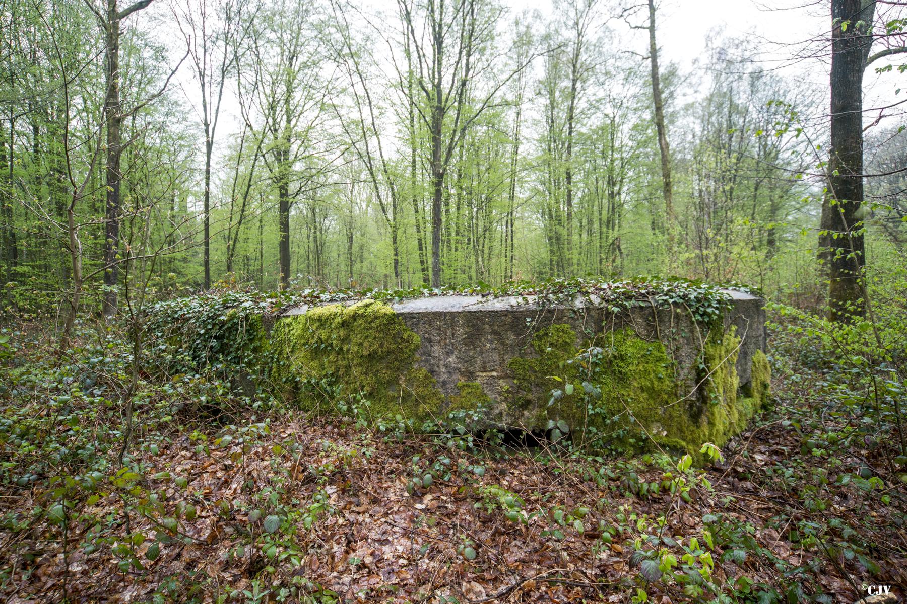 Ligne Maginot - BA30 - ROUTE DE CENDRON - (Blockhaus pour canon) - 