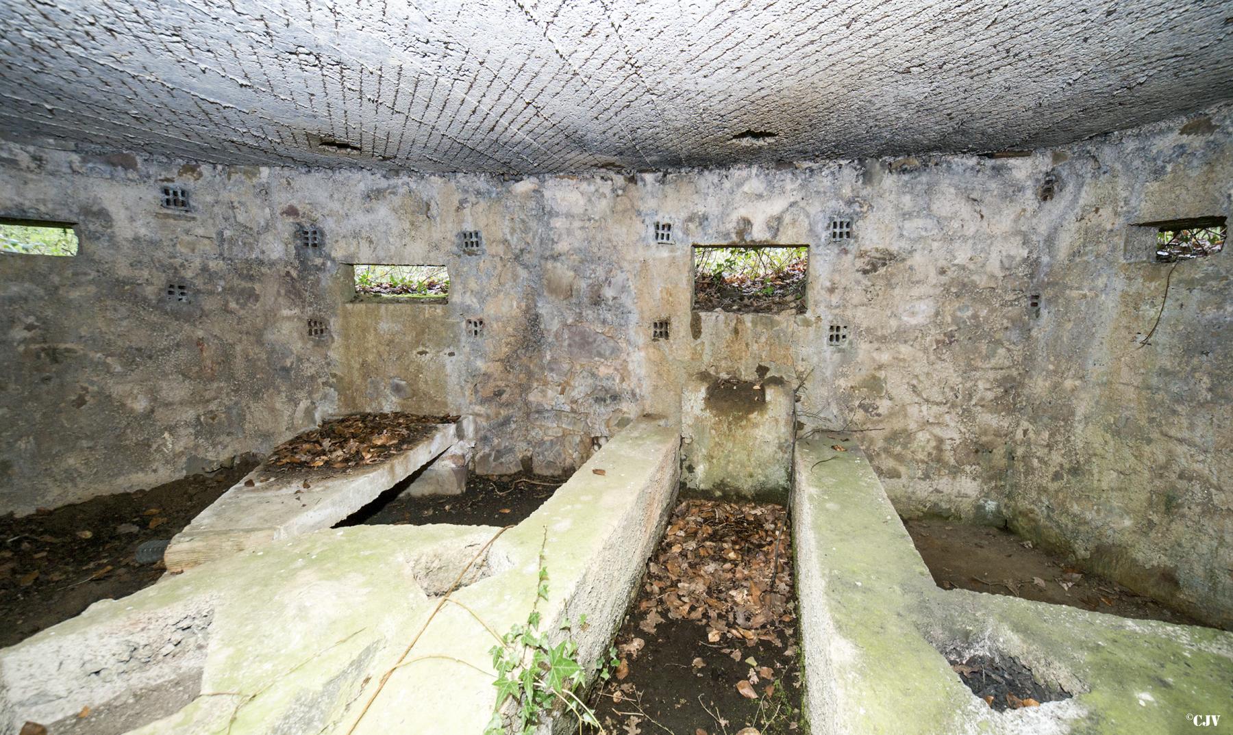 Ligne Maginot - BA30 - ROUTE DE CENDRON - (Blockhaus pour canon) -  - Lia VERMEULEN