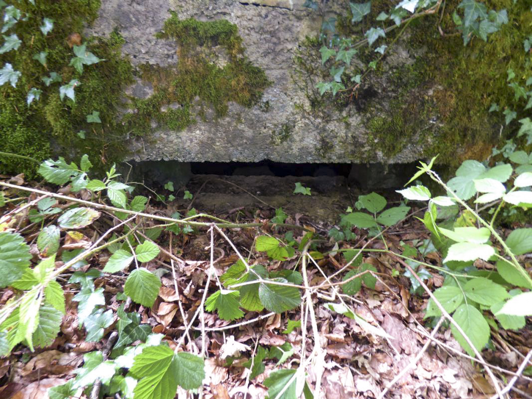 Ligne Maginot - BA30 - ROUTE DE CENDRON - (Blockhaus pour canon) - 