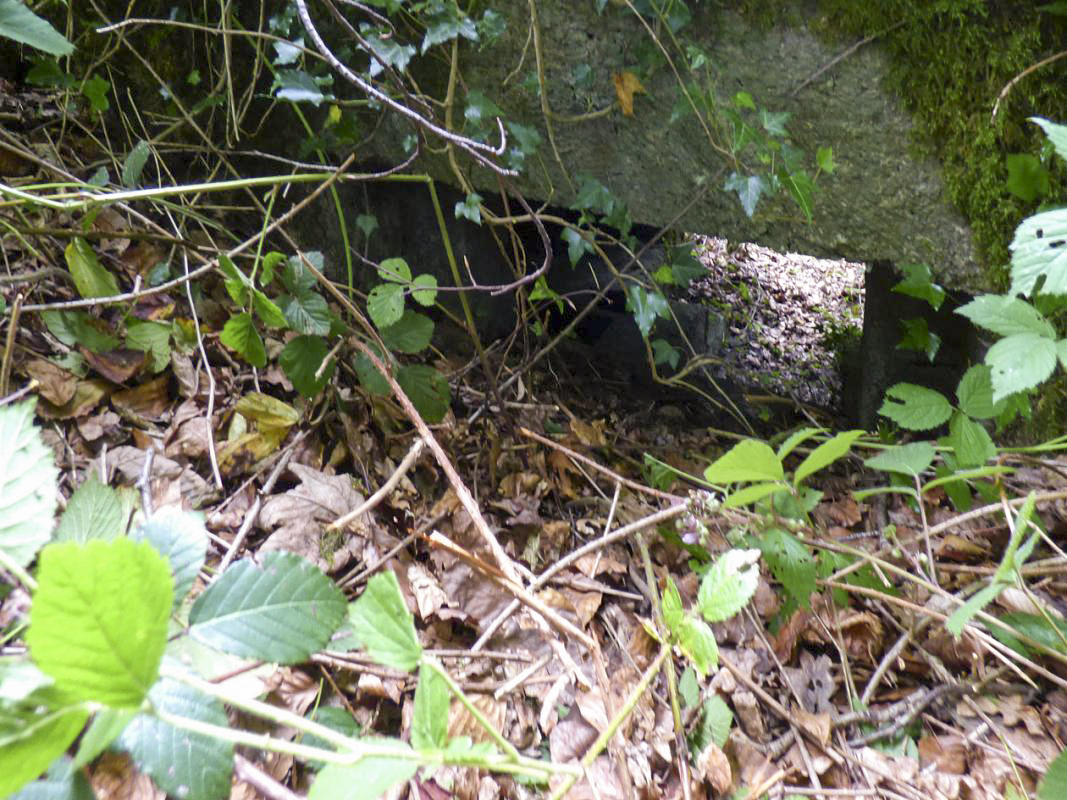 Ligne Maginot - BA30 - ROUTE DE CENDRON - (Blockhaus pour canon) - 