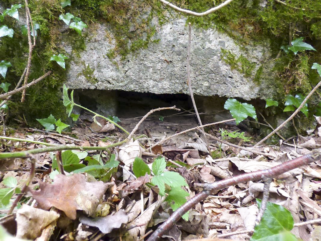 Ligne Maginot - BA30 - ROUTE DE CENDRON - (Blockhaus pour canon) - 