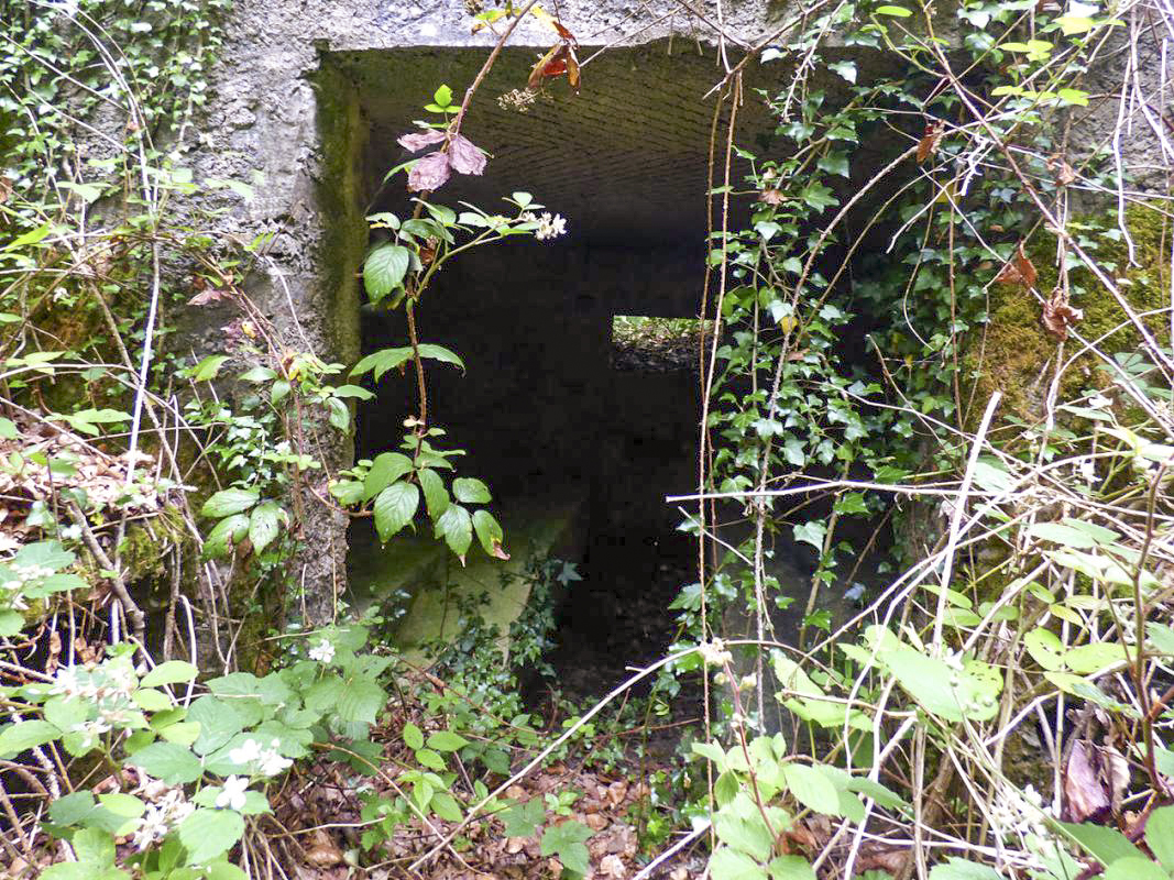 Ligne Maginot - BA30 - ROUTE DE CENDRON - (Blockhaus pour canon) - 