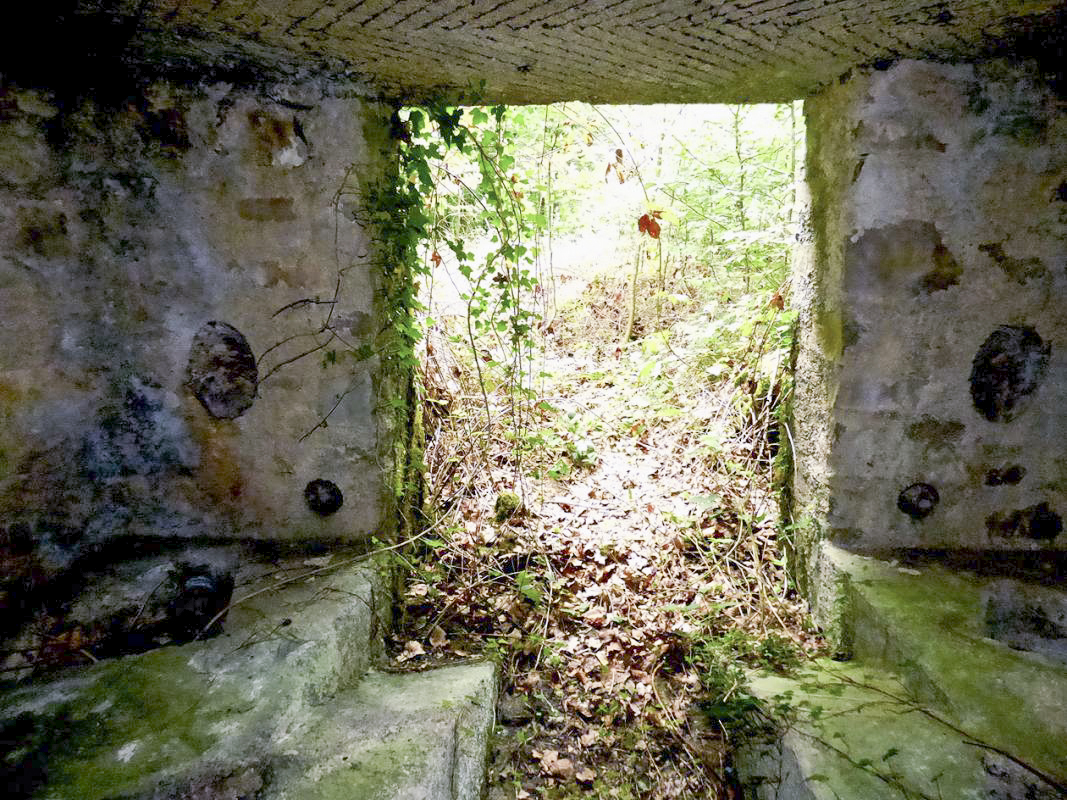 Ligne Maginot - BA30 - ROUTE DE CENDRON - (Blockhaus pour canon) - 