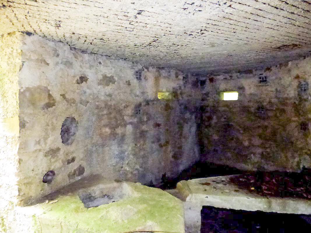 Ligne Maginot - BA30 - ROUTE DE CENDRON - (Blockhaus pour canon) - 