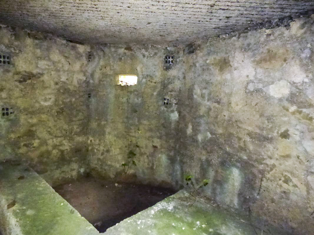 Ligne Maginot - BA30 - ROUTE DE CENDRON - (Blockhaus pour canon) - 