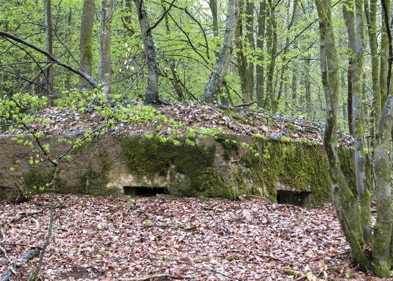 Ligne Maginot - BA31 - ROUTE DES LOGETTES - (Blockhaus pour canon) - 
