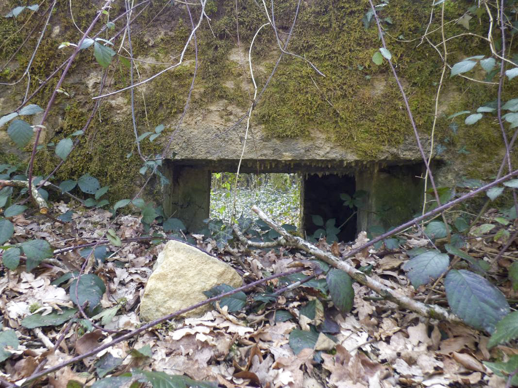 Ligne Maginot - BA31 - ROUTE DES LOGETTES - (Blockhaus pour canon) - 
