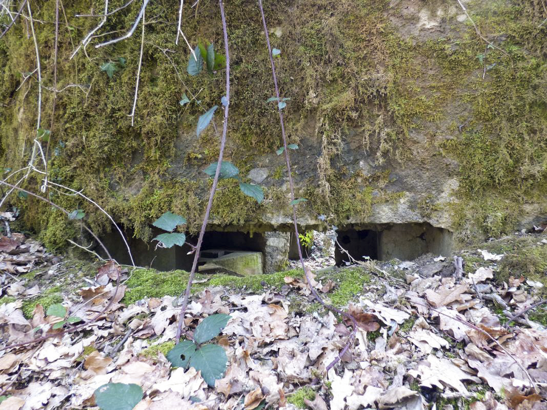 Ligne Maginot - BA31 - ROUTE DES LOGETTES - (Blockhaus pour canon) - 