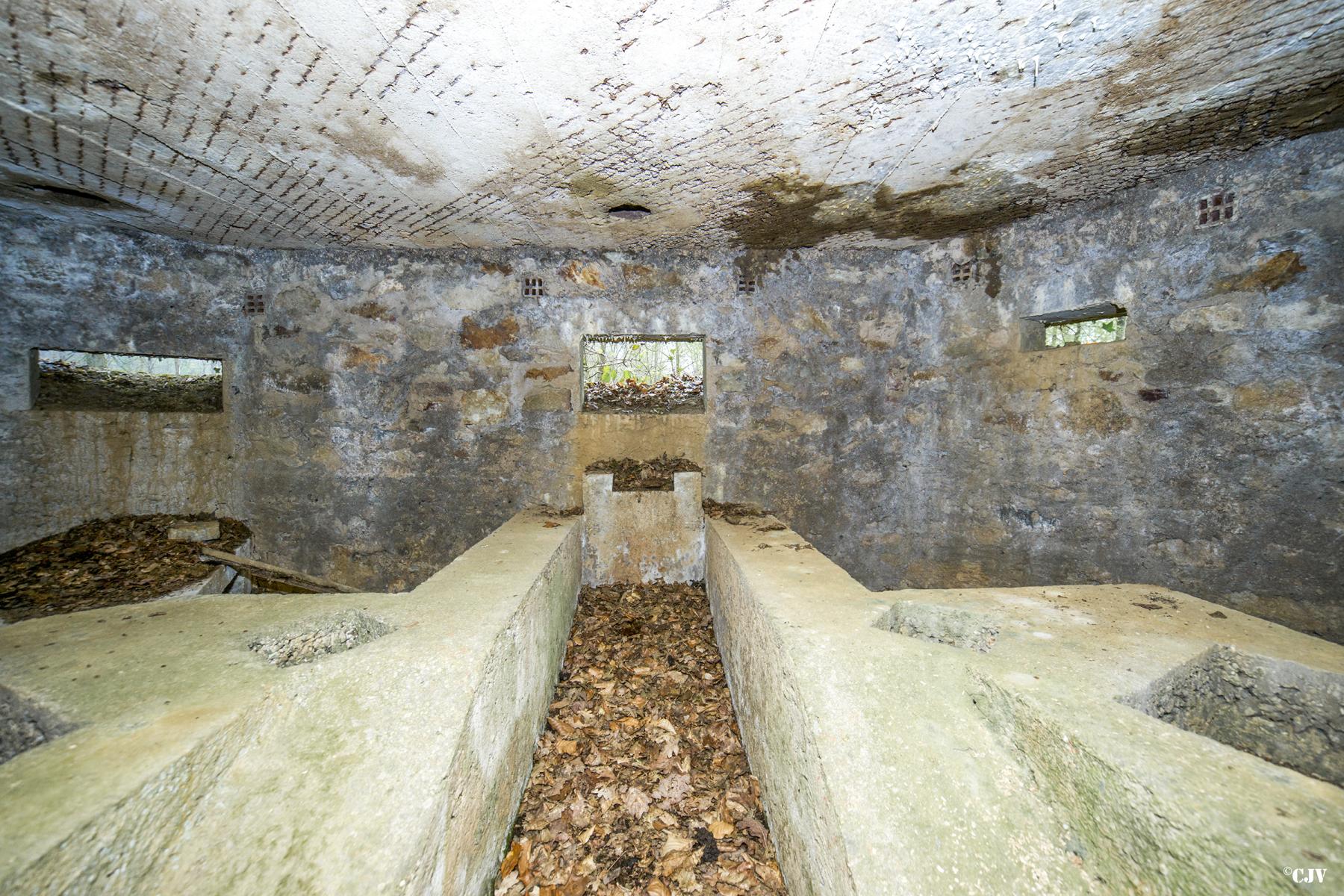 Ligne Maginot - BA31 - ROUTE DES LOGETTES - (Blockhaus pour canon) - 