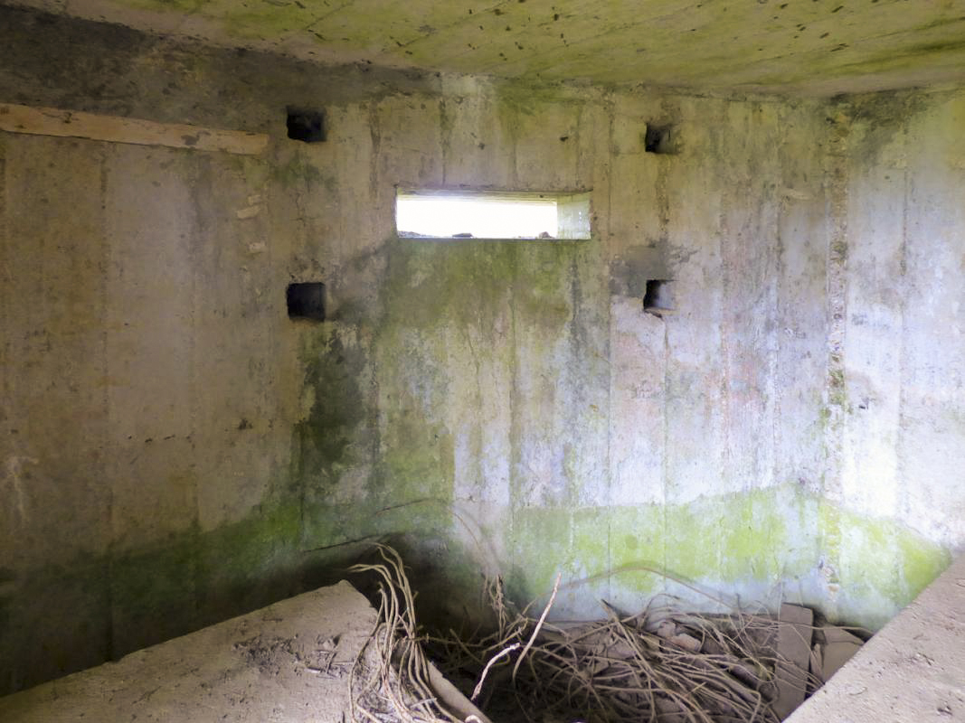 Ligne Maginot - BA33 - GRANDES FOSSES - (Blockhaus pour canon) - 