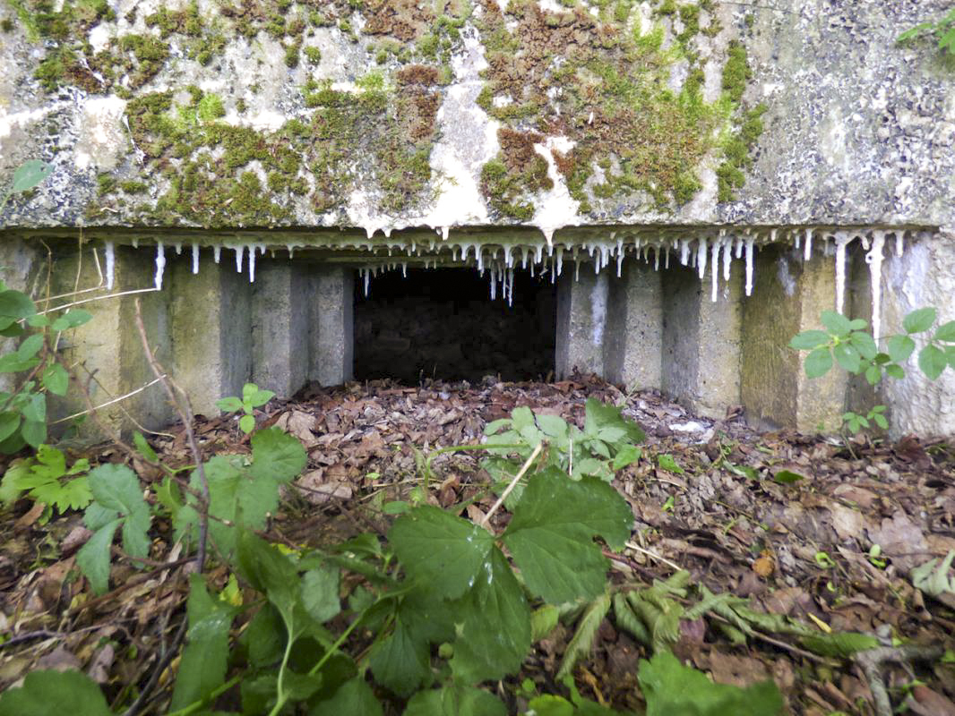 Ligne Maginot - BA34 - TAILLES MARQUISES - (Blockhaus pour canon) -  - JMBrams