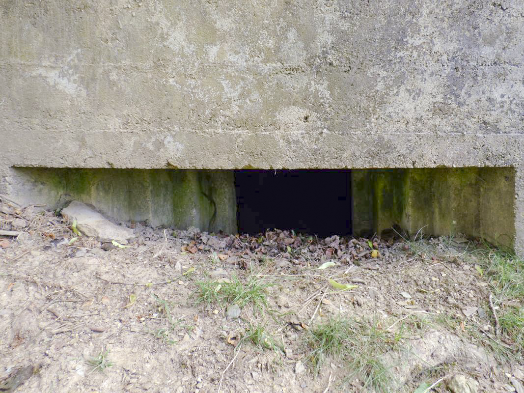 Ligne Maginot - BA36 - LA NEUVILLE EST - (Blockhaus pour canon) - 