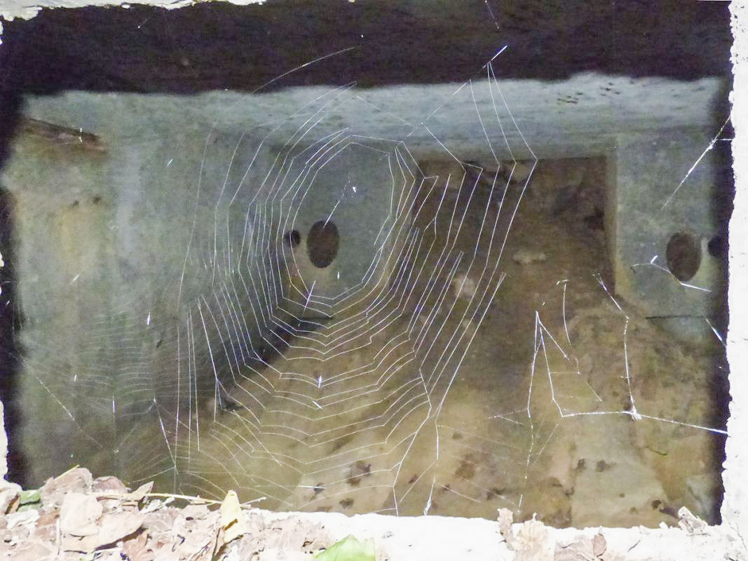 Ligne Maginot - BA36 - LA NEUVILLE EST - (Blockhaus pour canon) - Entrée