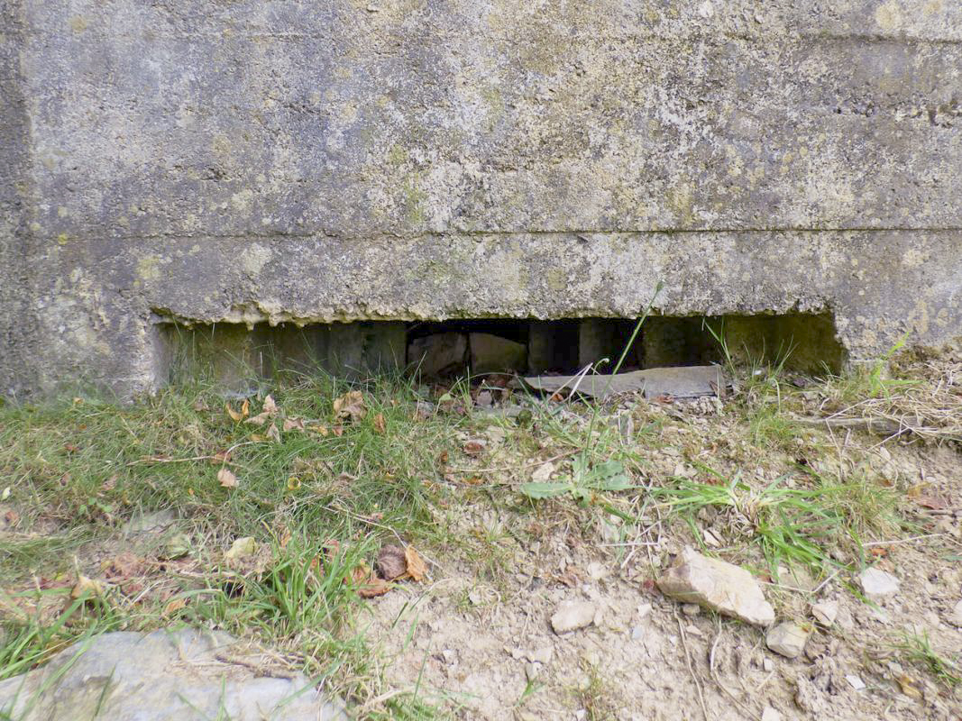 Ligne Maginot - BA36 - LA NEUVILLE EST - (Blockhaus pour canon) - 