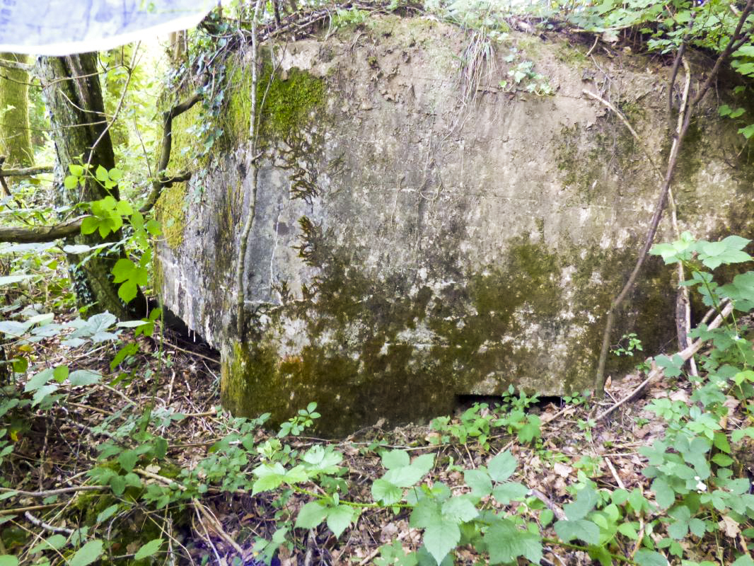 Ligne Maginot - BA35 - LA NEUVILLE OUEST - (Blockhaus pour canon) - 