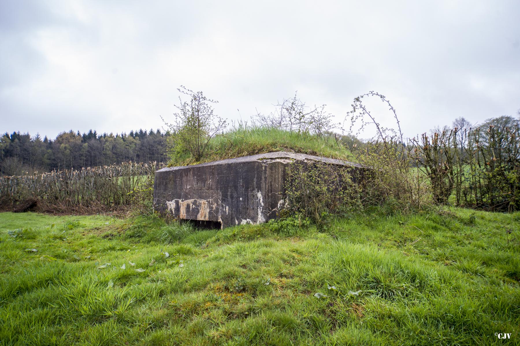 Ligne Maginot - BA40 - LE CHALET - (Blockhaus pour canon) - 