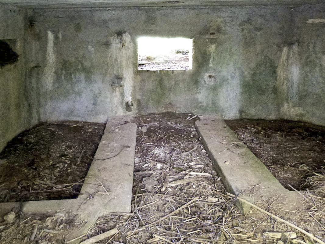 Ligne Maginot - BA40 - LE CHALET - (Blockhaus pour canon) - 