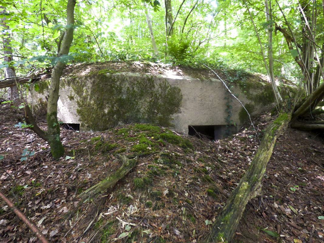 Ligne Maginot - BA41 - CAILLOT FONTAINE NORD - (Blockhaus pour canon) - 