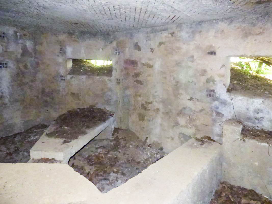 Ligne Maginot - BA41 - CAILLOT FONTAINE NORD - (Blockhaus pour canon) - 