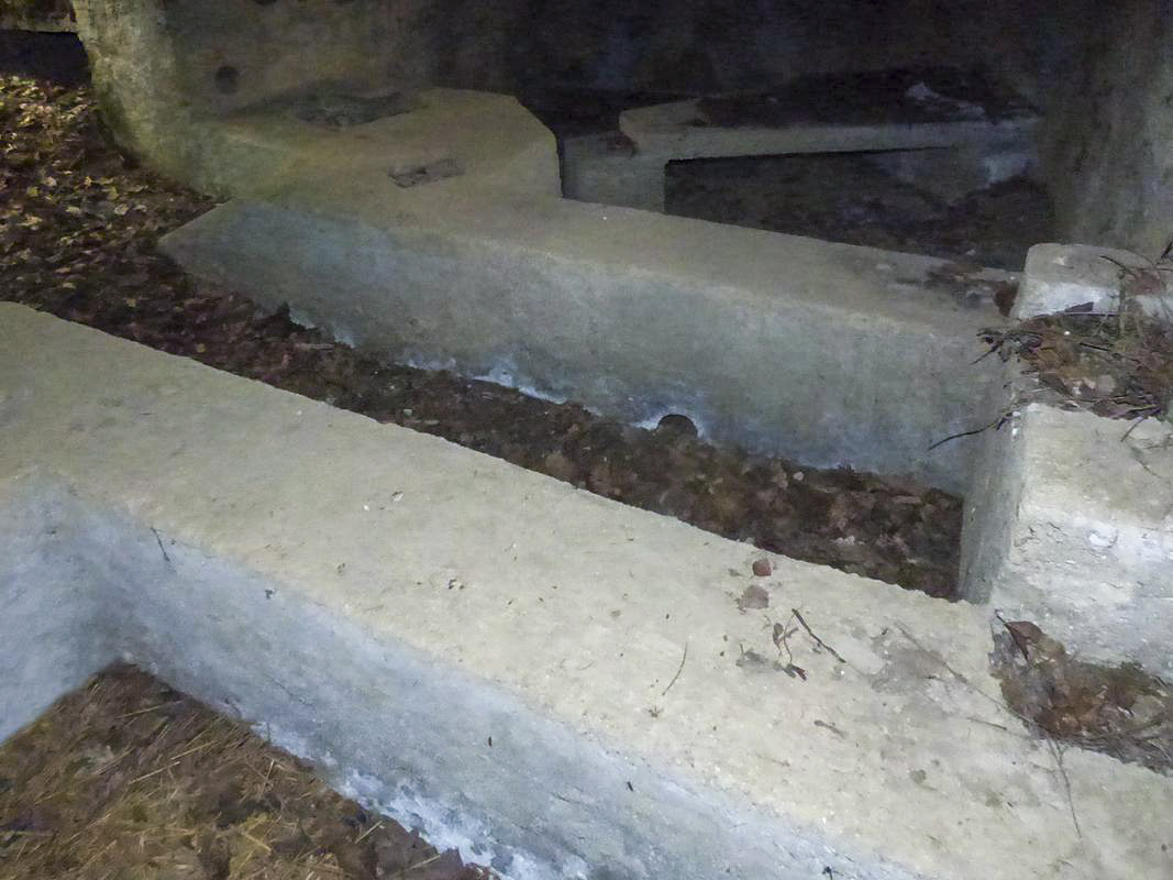 Ligne Maginot - BA41 - CAILLOT FONTAINE NORD - (Blockhaus pour canon) -  - JMBrams