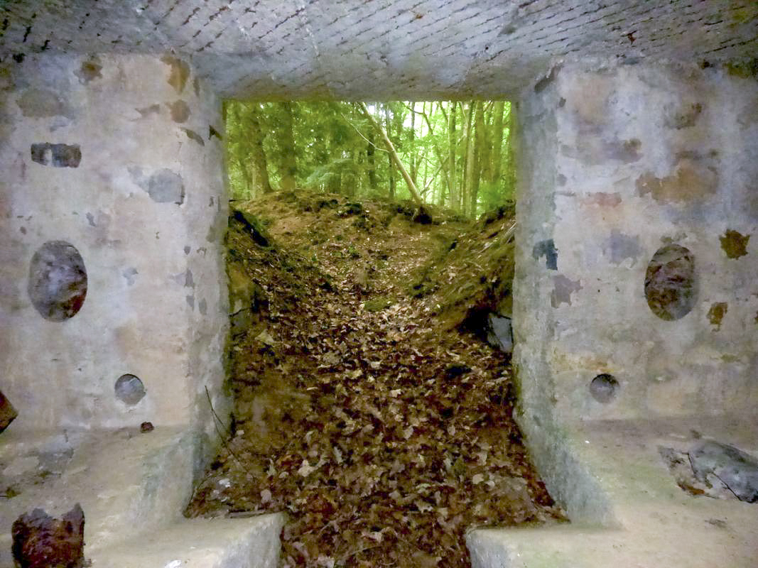 Ligne Maginot - BA41 - CAILLOT FONTAINE NORD - (Blockhaus pour canon) - 