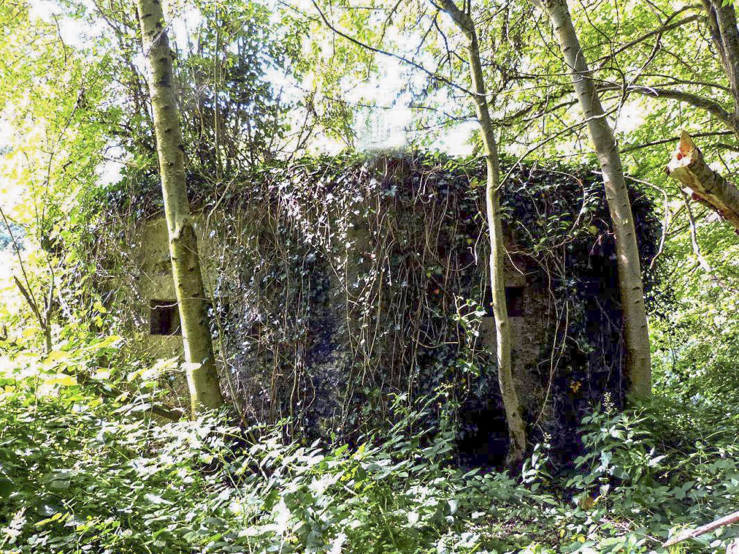 Ligne Maginot - BA44BIS - ETANG DE LA MOTTE - (Blockhaus pour canon) -  - JMBrams