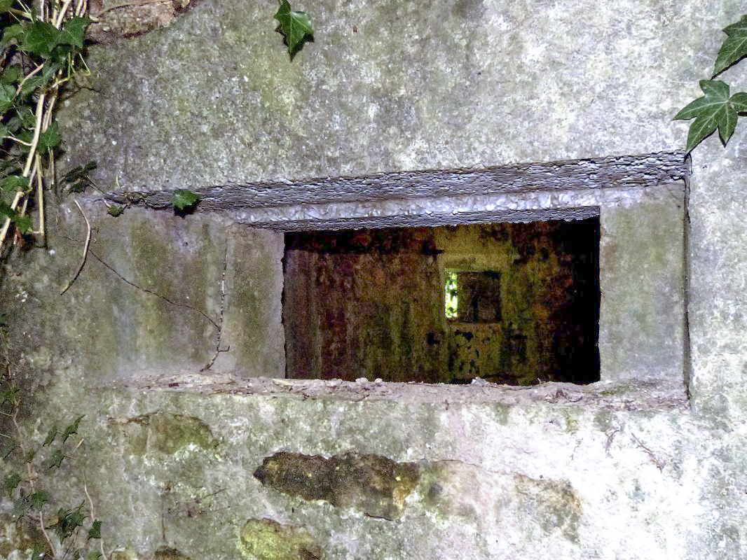 Ligne Maginot - BA44BIS - ETANG DE LA MOTTE - (Blockhaus pour canon) -  - JMBrams