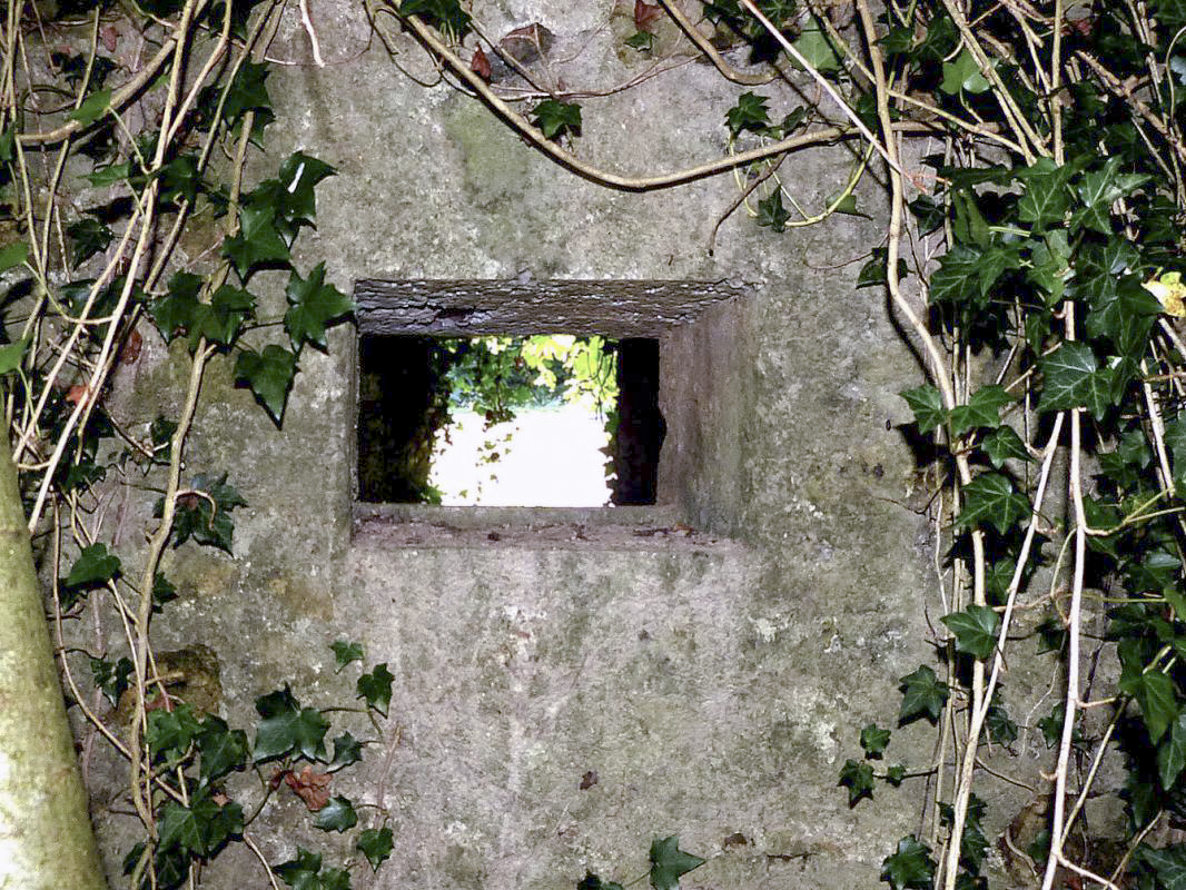 Ligne Maginot - BA44BIS - ETANG DE LA MOTTE - (Blockhaus pour canon) -  - JMBrams