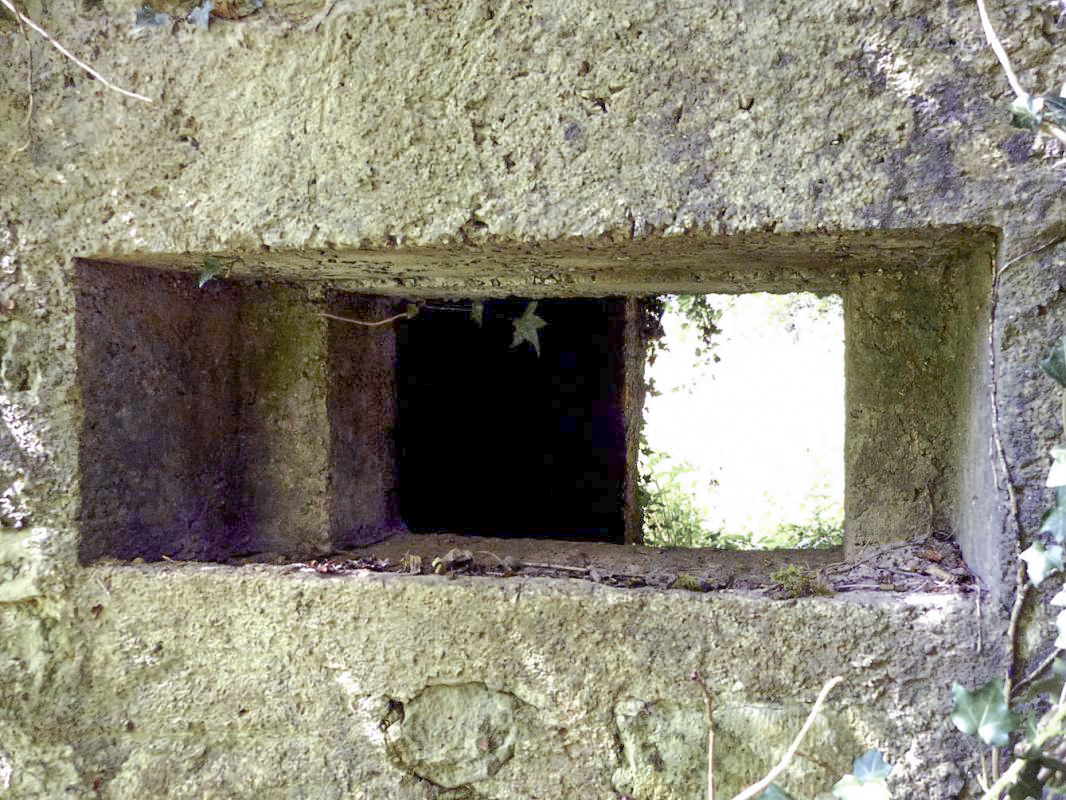 Ligne Maginot - BA44BIS - ETANG DE LA MOTTE - (Blockhaus pour canon) -  - JMBrams