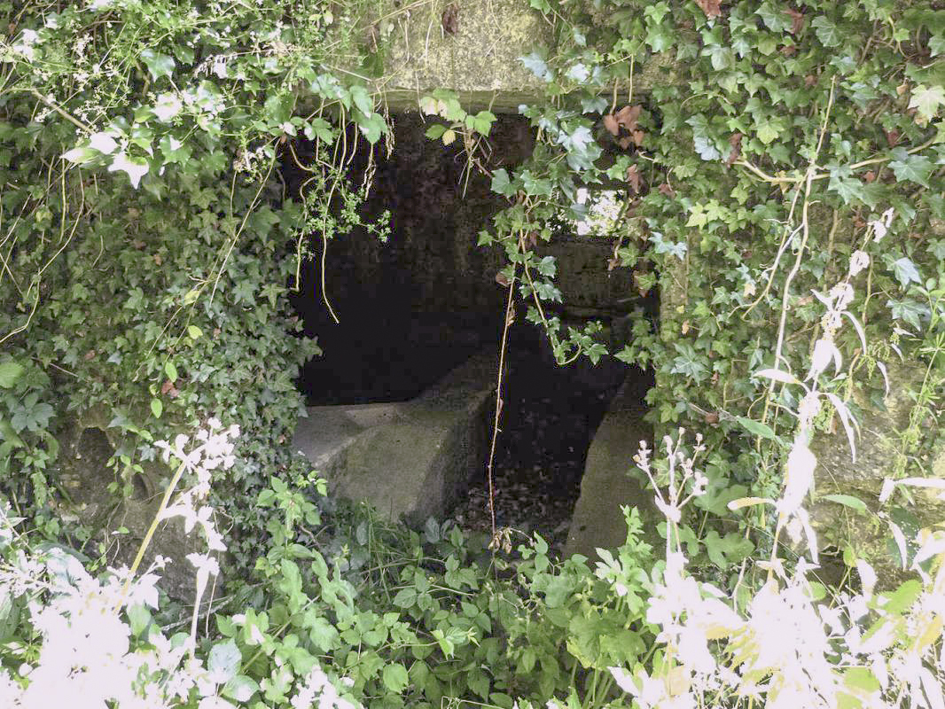 Ligne Maginot - BA44BIS - ETANG DE LA MOTTE - (Blockhaus pour canon) -  - JMBrams