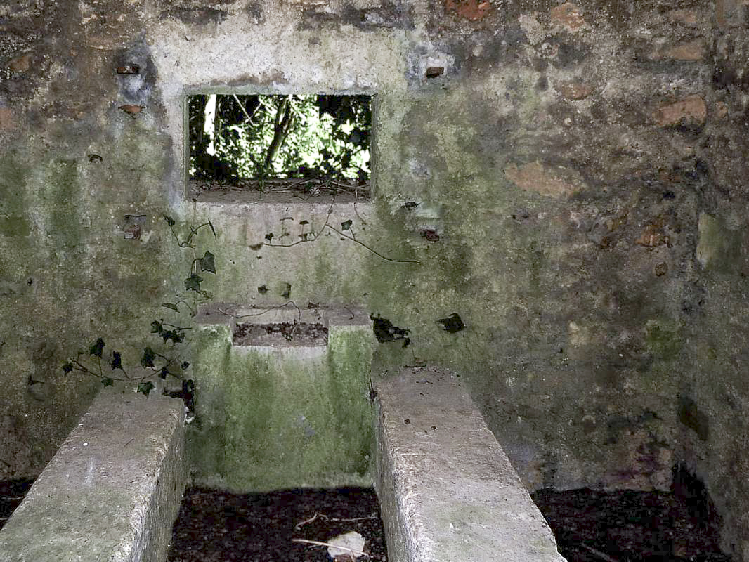 Ligne Maginot - BA44BIS - ETANG DE LA MOTTE - (Blockhaus pour canon) -  - JMBrams