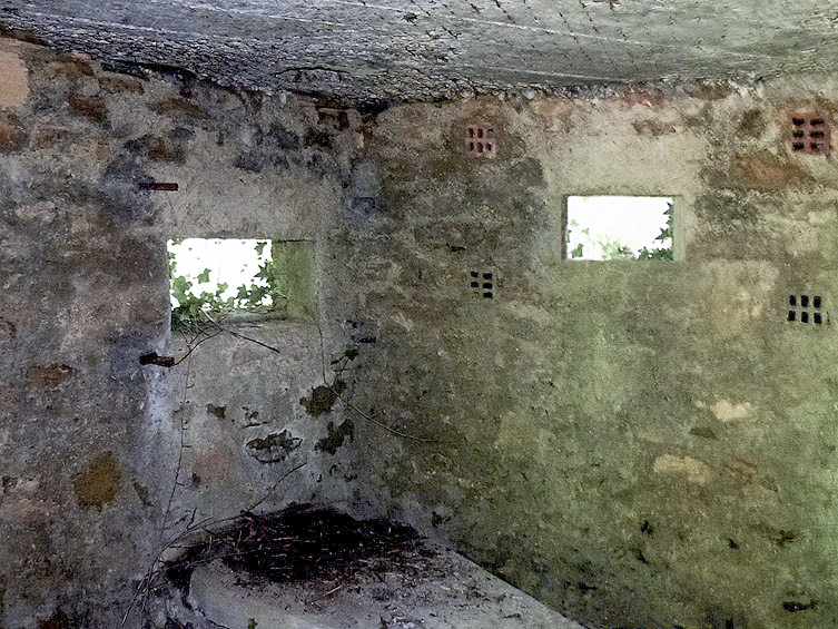 Ligne Maginot - BA44BIS - ETANG DE LA MOTTE - (Blockhaus pour canon) -  - JMBrams