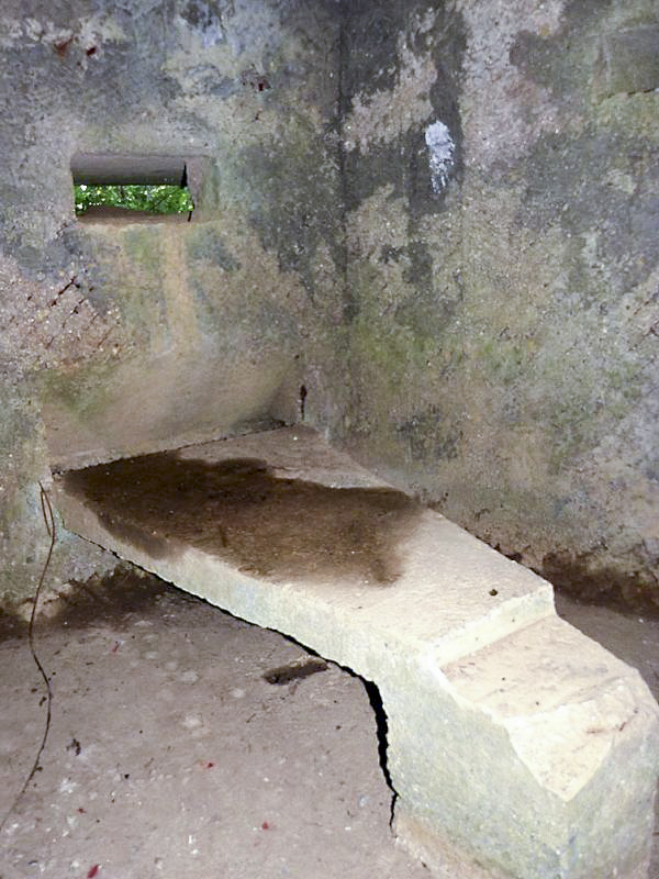 Ligne Maginot - BA44 - PRE HUGON - (Blockhaus pour arme infanterie) - 