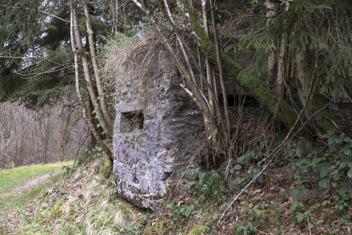Ligne Maginot - BA44TER - TAILLE DE LA MOTTE - (Blockhaus pour arme infanterie) - 