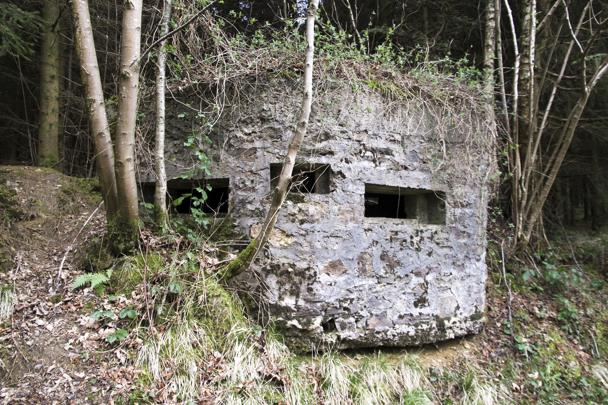 Ligne Maginot - BA44TER - TAILLE DE LA MOTTE - (Blockhaus pour arme infanterie) - 