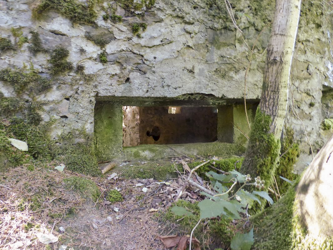 Ligne Maginot - BA44TER - TAILLE DE LA MOTTE - (Blockhaus pour arme infanterie) - 