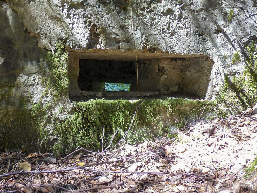 Ligne Maginot - BA44TER - TAILLE DE LA MOTTE - (Blockhaus pour arme infanterie) - 