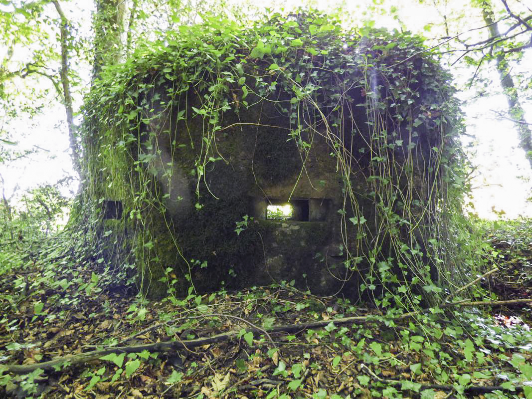 Ligne Maginot - BA45 - GRAND DOUAIRE OUEST - (Blockhaus pour arme infanterie) - 