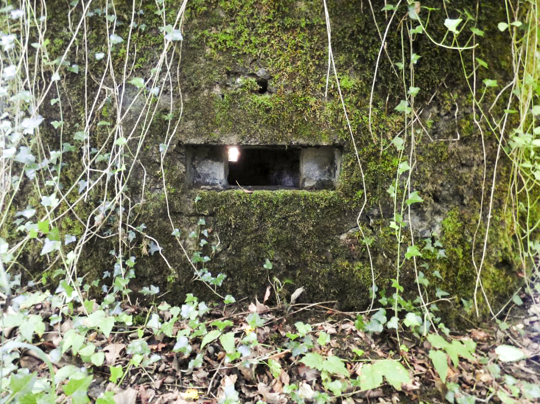 Ligne Maginot - BA45 - GRAND DOUAIRE OUEST - (Blockhaus pour arme infanterie) - 