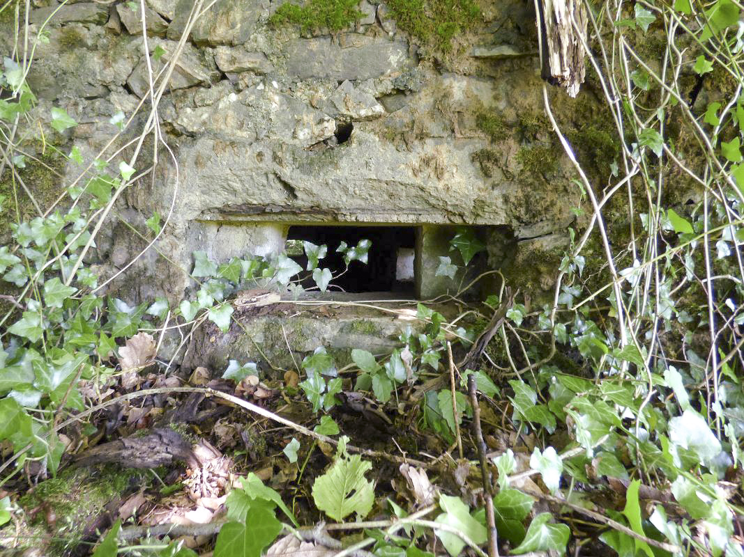Ligne Maginot - BA45 - GRAND DOUAIRE OUEST - (Blockhaus pour arme infanterie) - 